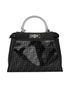 FF Zucca Peekaboo Bag, back view